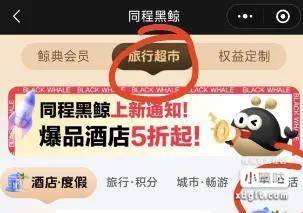 图片[4]-同程酒店新户大毛-创客网